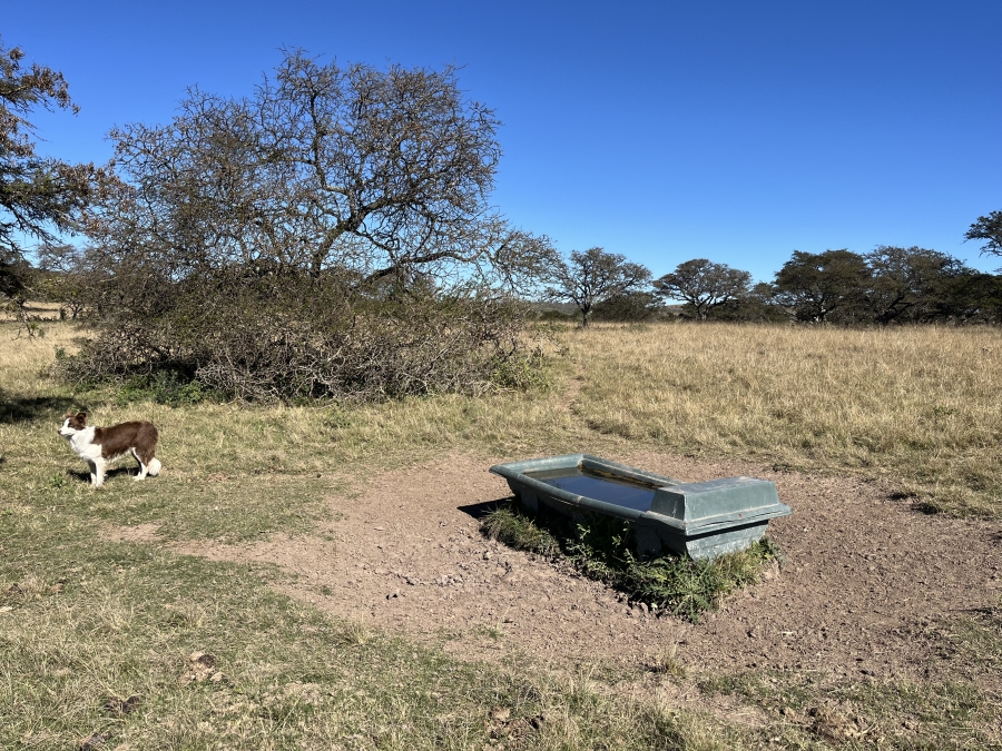 0 Bedroom Property for Sale in Stutterheim Rural Eastern Cape